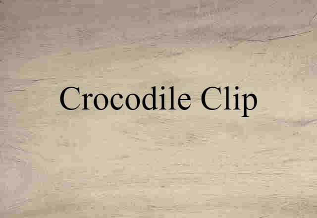 Crocodile Clip (noun) Definition, Meaning & Examples