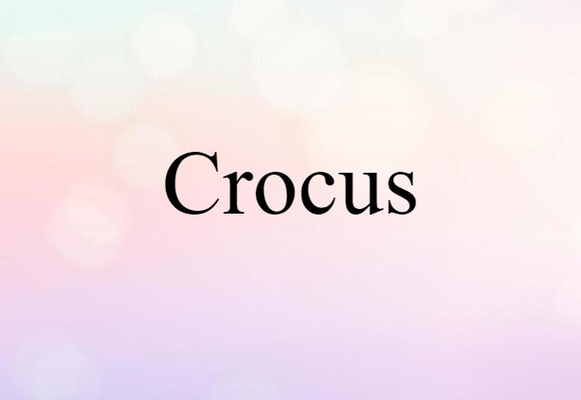 Crocus (noun) Definition, Meaning & Examples