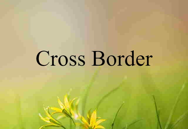 Cross-border (noun) Definition, Meaning & Examples