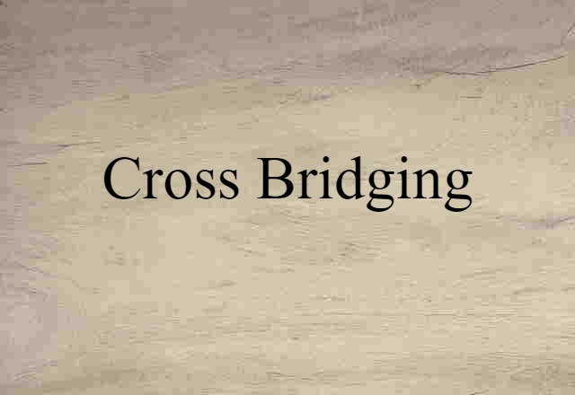 Cross Bridging (noun) Definition, Meaning & Examples