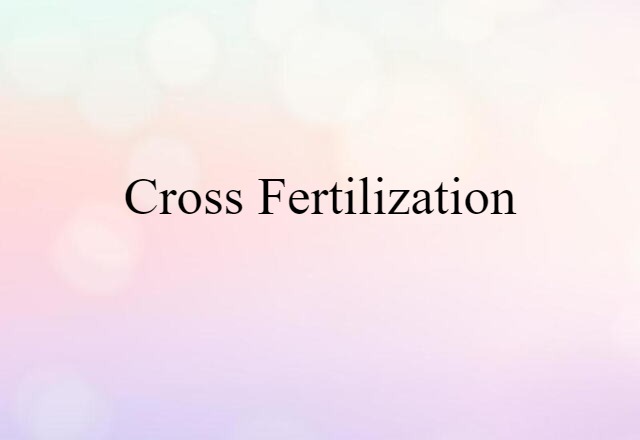 Cross-fertilization (noun) Definition, Meaning & Examples