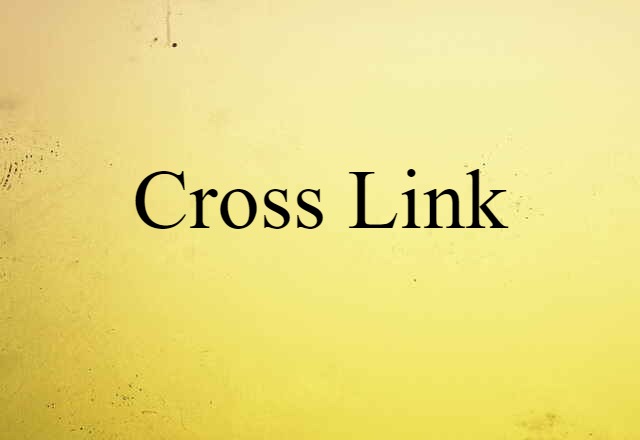 Cross Link (noun) Definition, Meaning & Examples