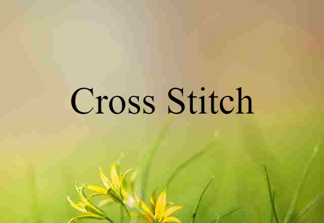 Cross Stitch (noun) Definition, Meaning & Examples