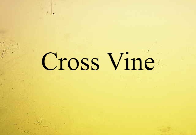 Cross-vine (noun) Definition, Meaning & Examples