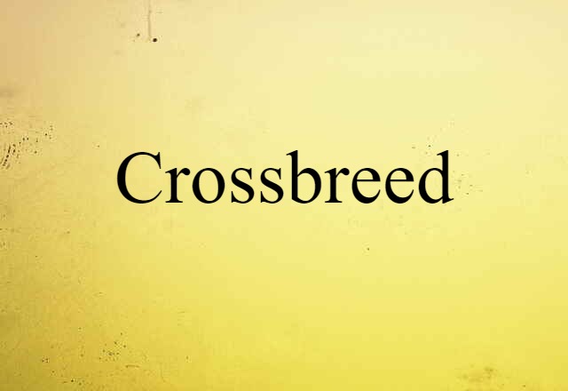 crossbreed