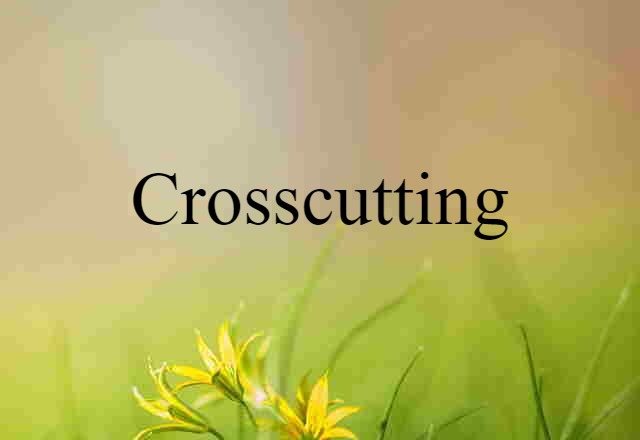 Crosscutting (noun) Definition, Meaning & Examples