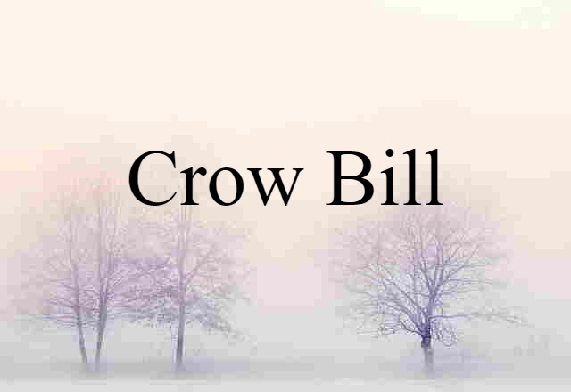 crow bill