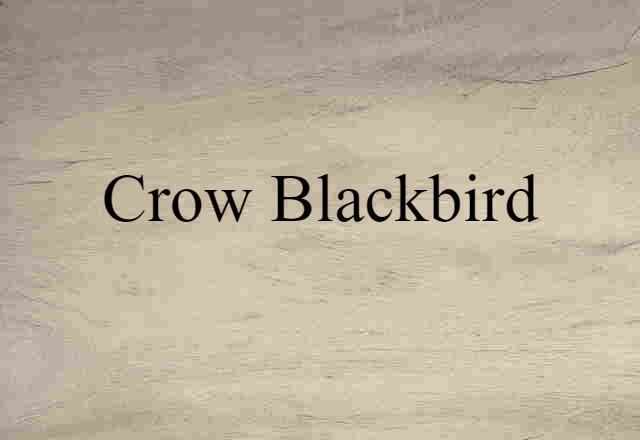 Crow Blackbird (noun) Definition, Meaning & Examples