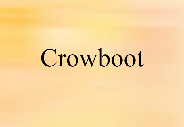 Crowboot (noun) Definition, Meaning & Examples