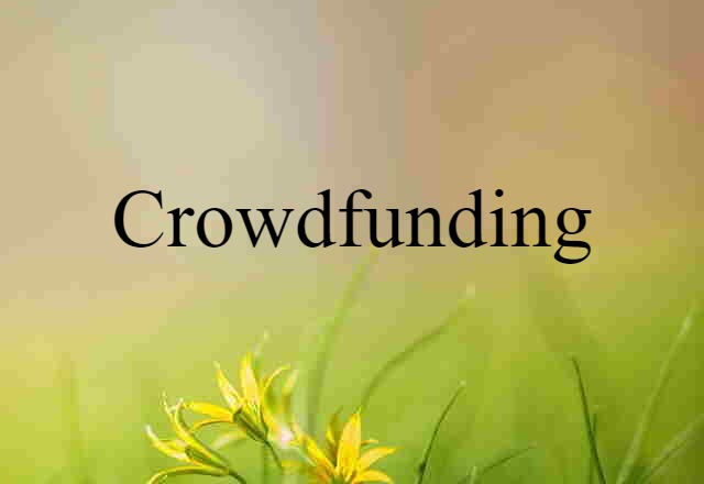 Crowdfunding (noun) Definition, Meaning & Examples