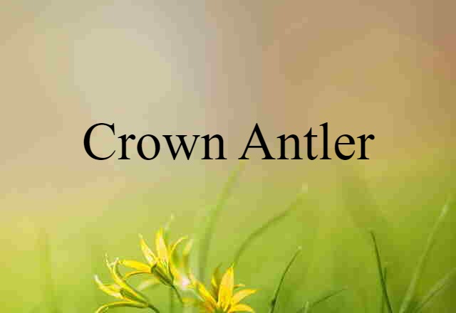 crown antler