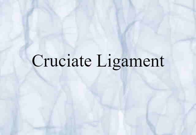 Cruciate Ligament (noun) Definition, Meaning & Examples