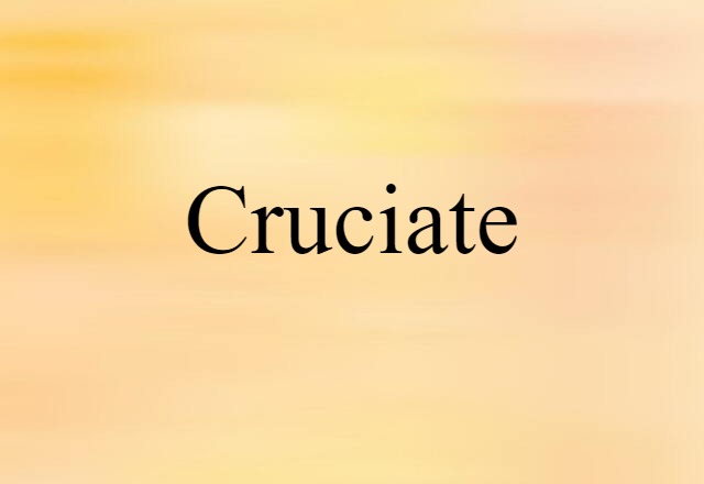 cruciate