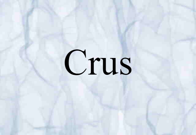 Crus (noun) Definition, Meaning & Examples