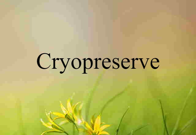 Cryopreserve (noun) Definition, Meaning & Examples