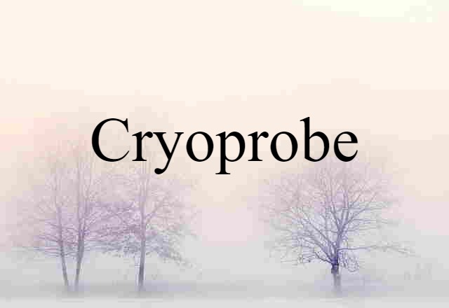 Cryoprobe (noun) Definition, Meaning & Examples