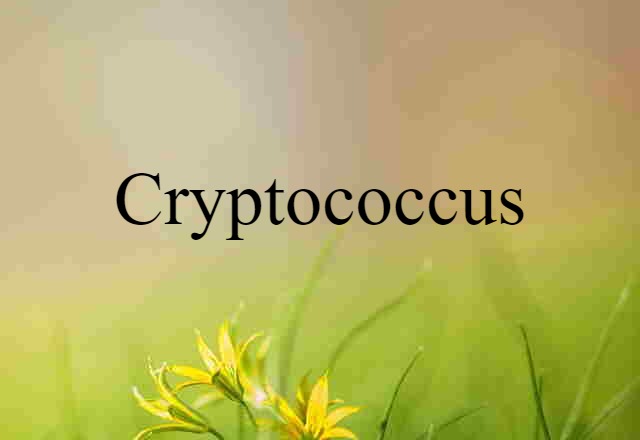 cryptococcus