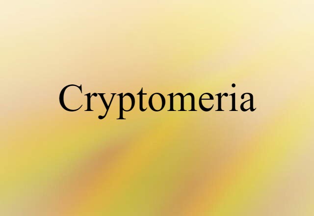 cryptomeria