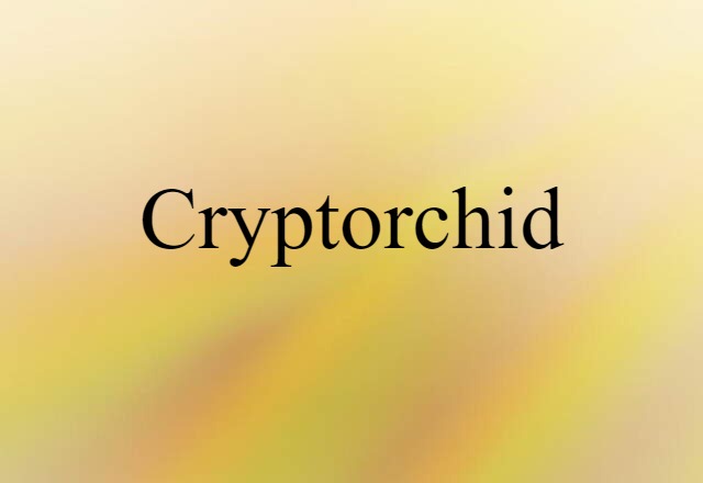 Cryptorchid (noun) Definition, Meaning & Examples