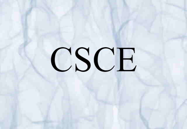 CSCE (noun) Definition, Meaning & Examples