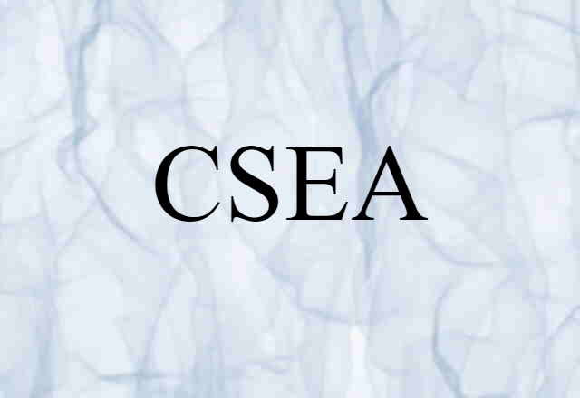 CSEA (noun) Definition, Meaning & Examples