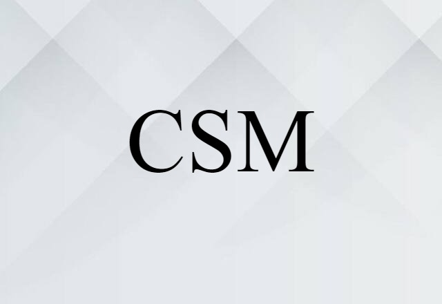 CSM (noun) Definition, Meaning & Examples