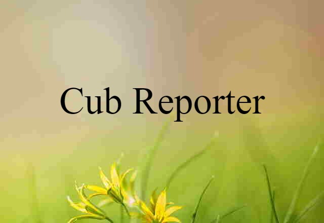 Cub Reporter (noun) Definition, Meaning & Examples