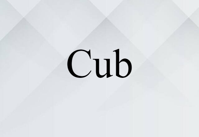 Cub (noun) Definition, Meaning & Examples