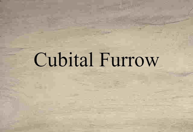 cubital furrow