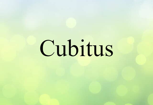 Cubitus (noun) Definition, Meaning & Examples