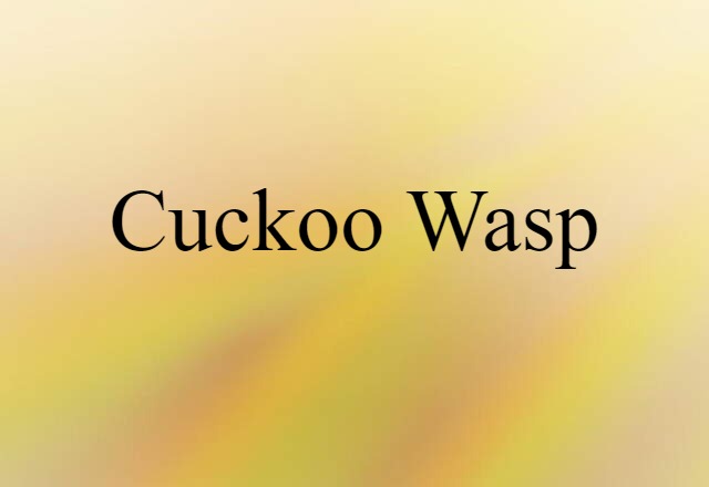 cuckoo wasp