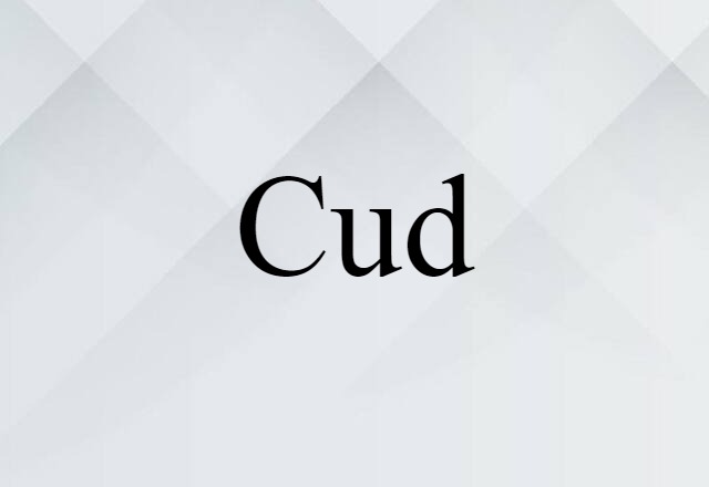 Cud (noun) Definition, Meaning & Examples