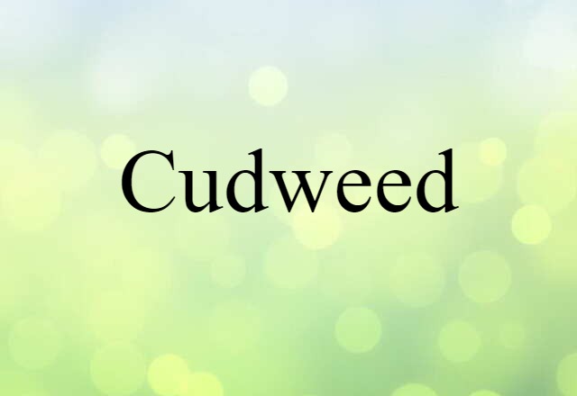 cudweed