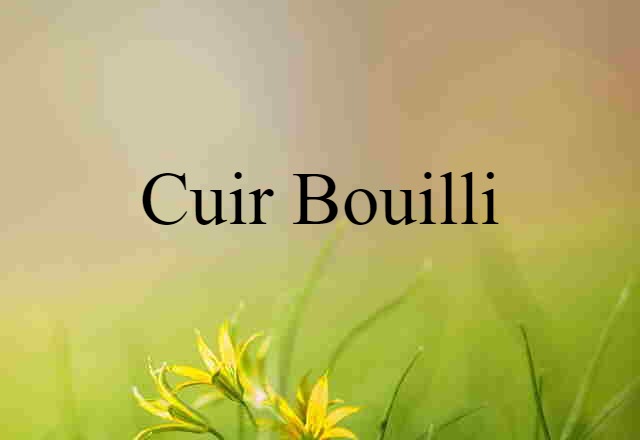 Cuir-bouilli (noun) Definition, Meaning & Examples