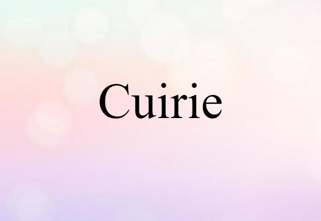 Cuirie (noun) Definition, Meaning & Examples