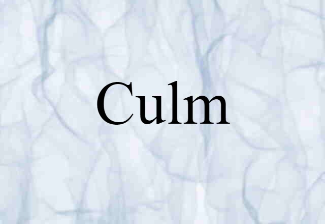 Culm (noun) Definition, Meaning & Examples