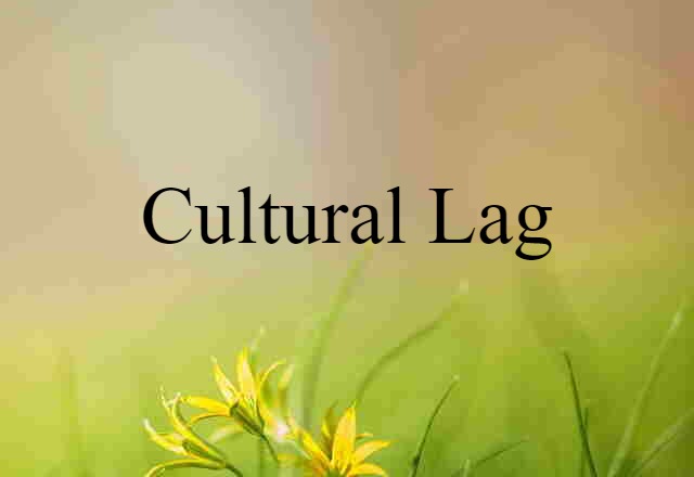 Cultural Lag (noun) Definition, Meaning & Examples