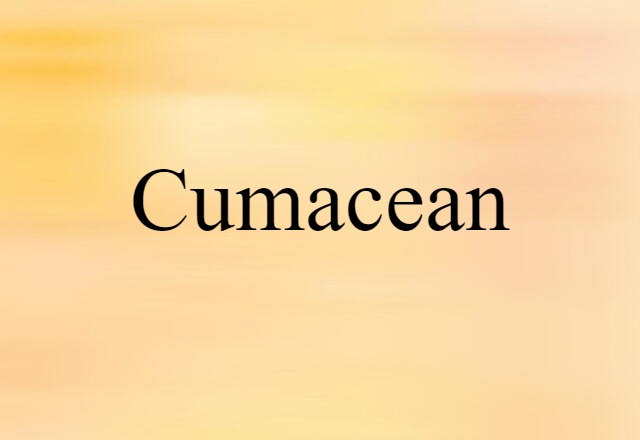 cumacean