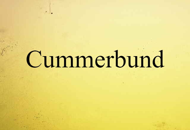 Cummerbund (noun) Definition, Meaning & Examples