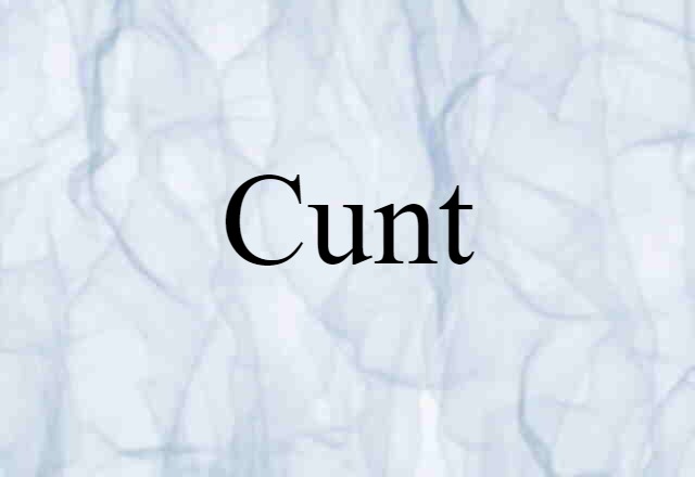 Cunt (noun) Definition, Meaning & Examples