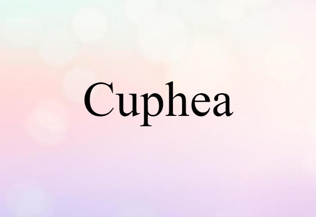 cuphea