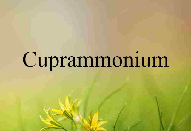 Cuprammonium (noun) Definition, Meaning & Examples