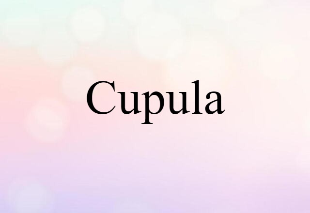 cupula