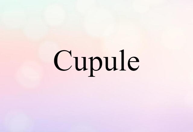 Cupule (noun) Definition, Meaning & Examples