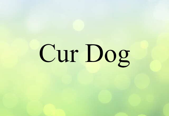 Cur Dog (noun) Definition, Meaning & Examples