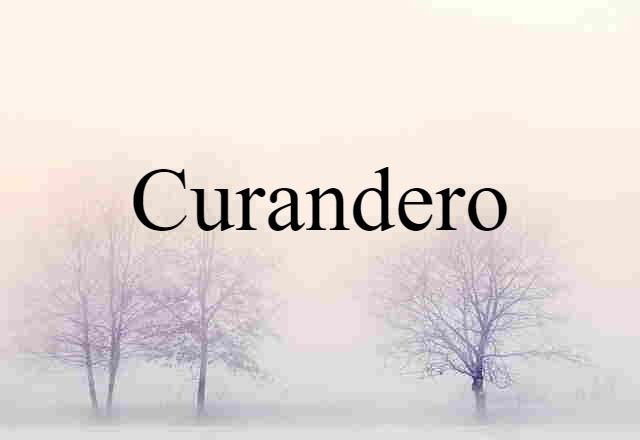 Curandero (noun) Definition, Meaning & Examples