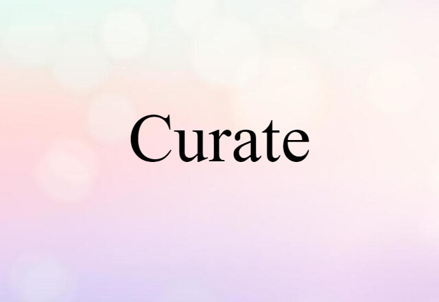 Curate (noun) Definition, Meaning & Examples