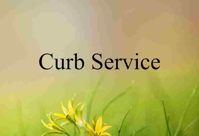 Curb Service (noun) Definition, Meaning & Examples