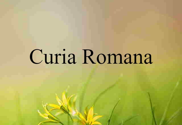 Curia Romana (noun) Definition, Meaning & Examples