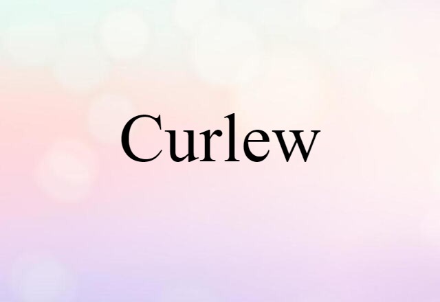 curlew